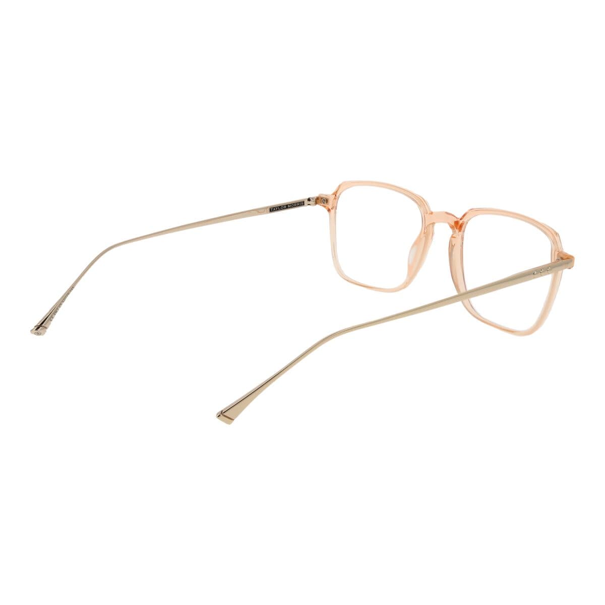 Montura de Gafas Unisex Taylor Morris SW3 53C5 - Image 3