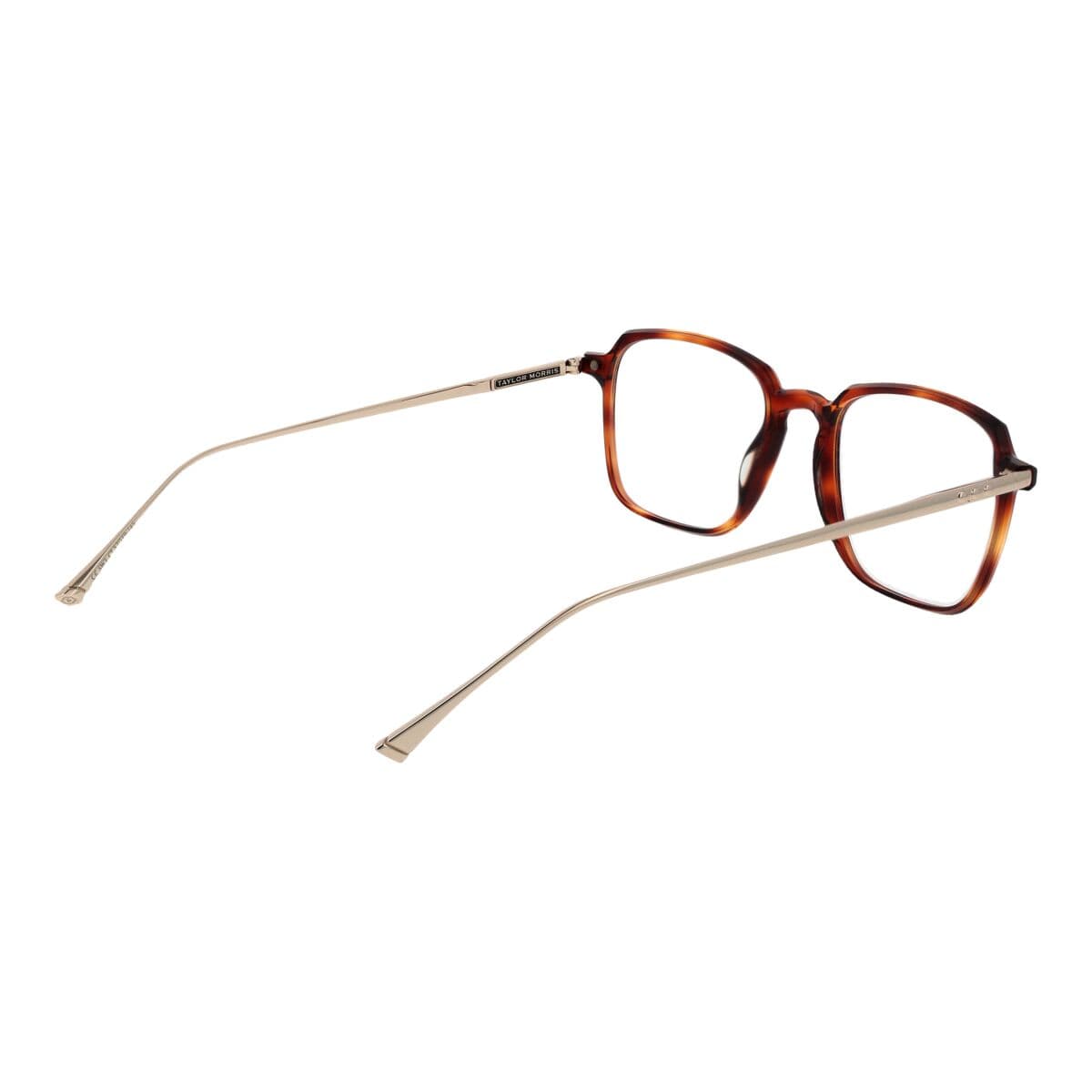Montatura per Occhiali Unisex Taylor Morris SW3 53C7 - Image 3