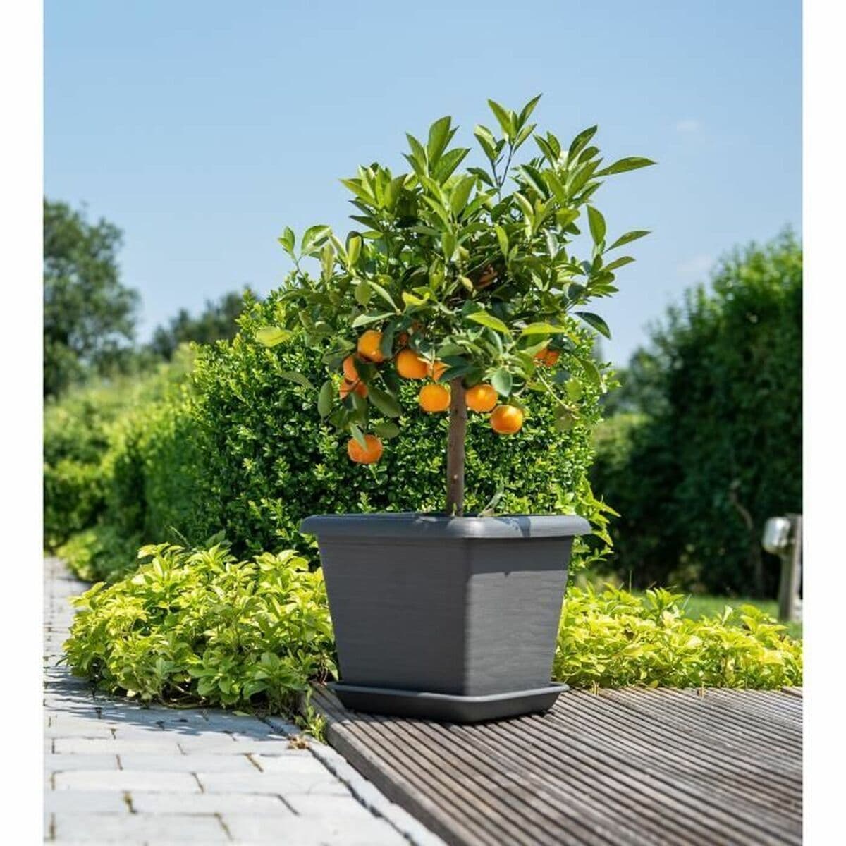 Blumentopf Garden ID Anthrazit karriert Steineffekt 40 x 35 cm - Image 3