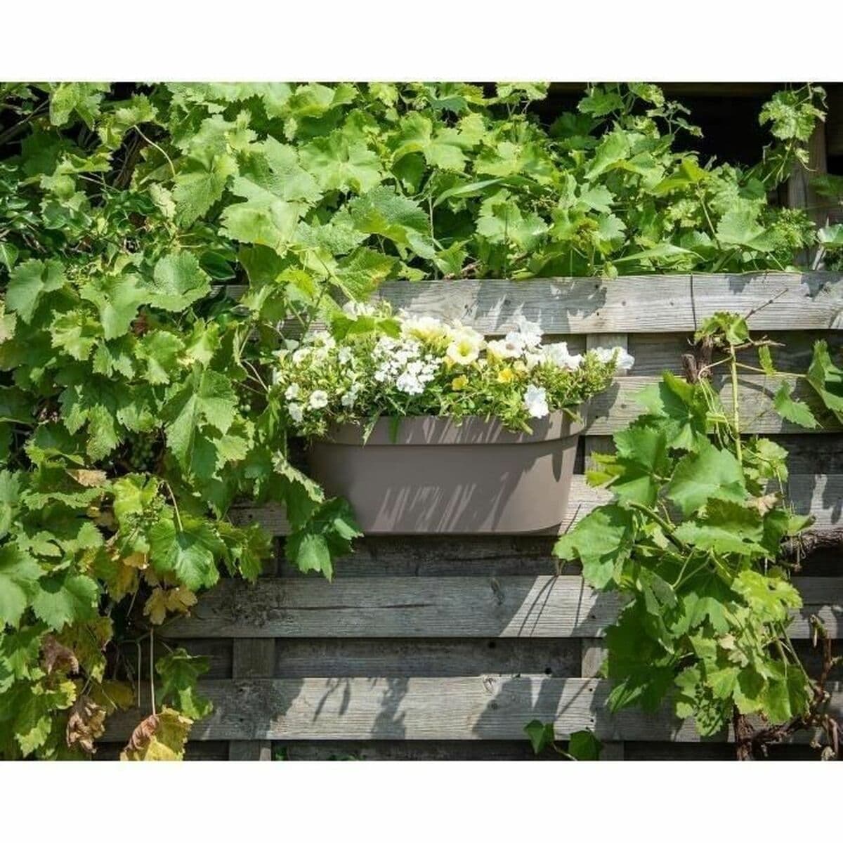 Jardinieră cu auto-udare Garden ID Gri Maroniu - Image 3