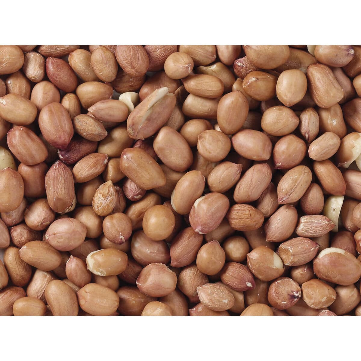 Vogelvoer Deli Nature Premium 1 kg - Image 3