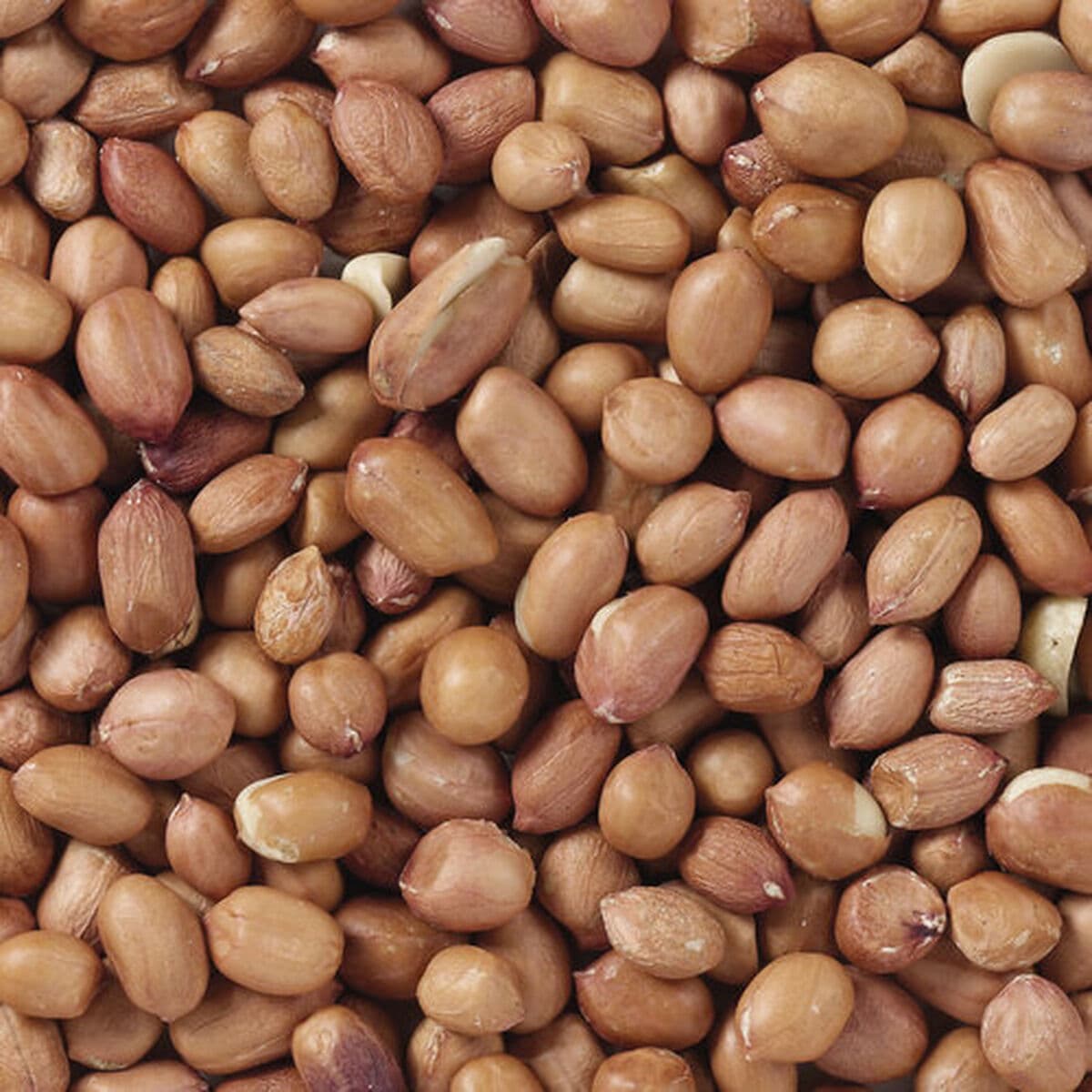 Vogelvoer Deli Nature Premium 1 kg - Image 4