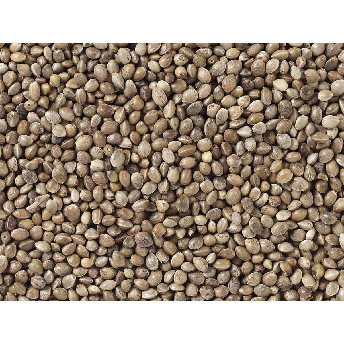 Mangime per uccelli Deli Nature Premium - Image 3