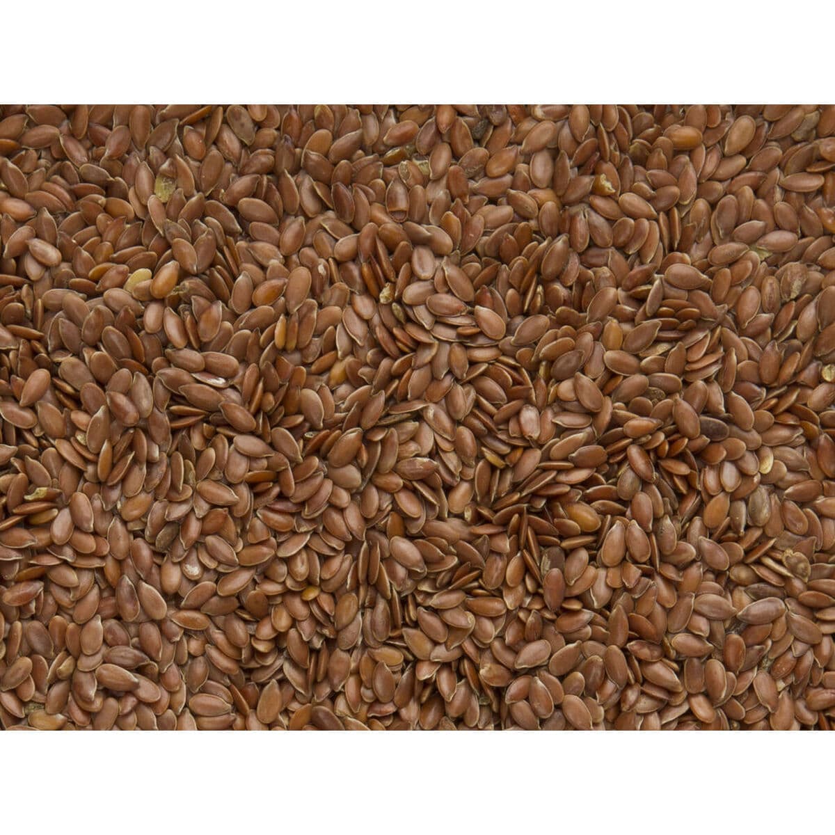 Vogelvoer Deli Nature Premium - Image 3