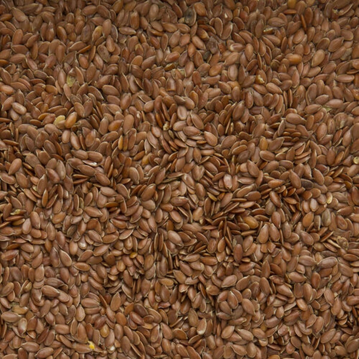 Vogelvoer Deli Nature Premium - Image 4