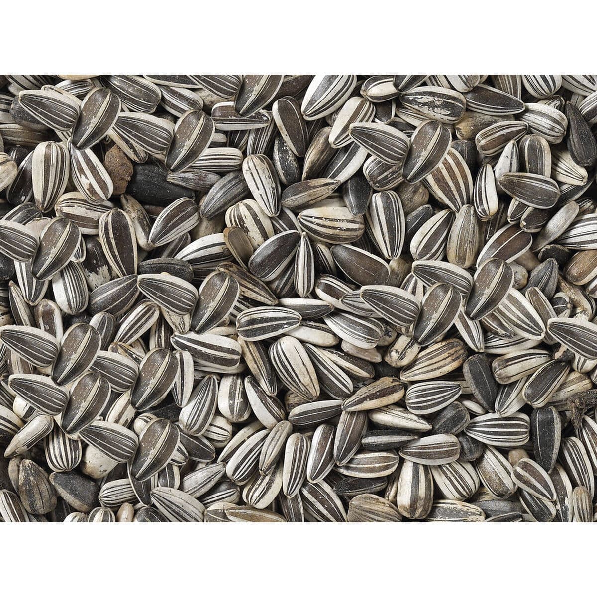 Vogelvoer Deli Nature Premium 2,5 kg - Image 3