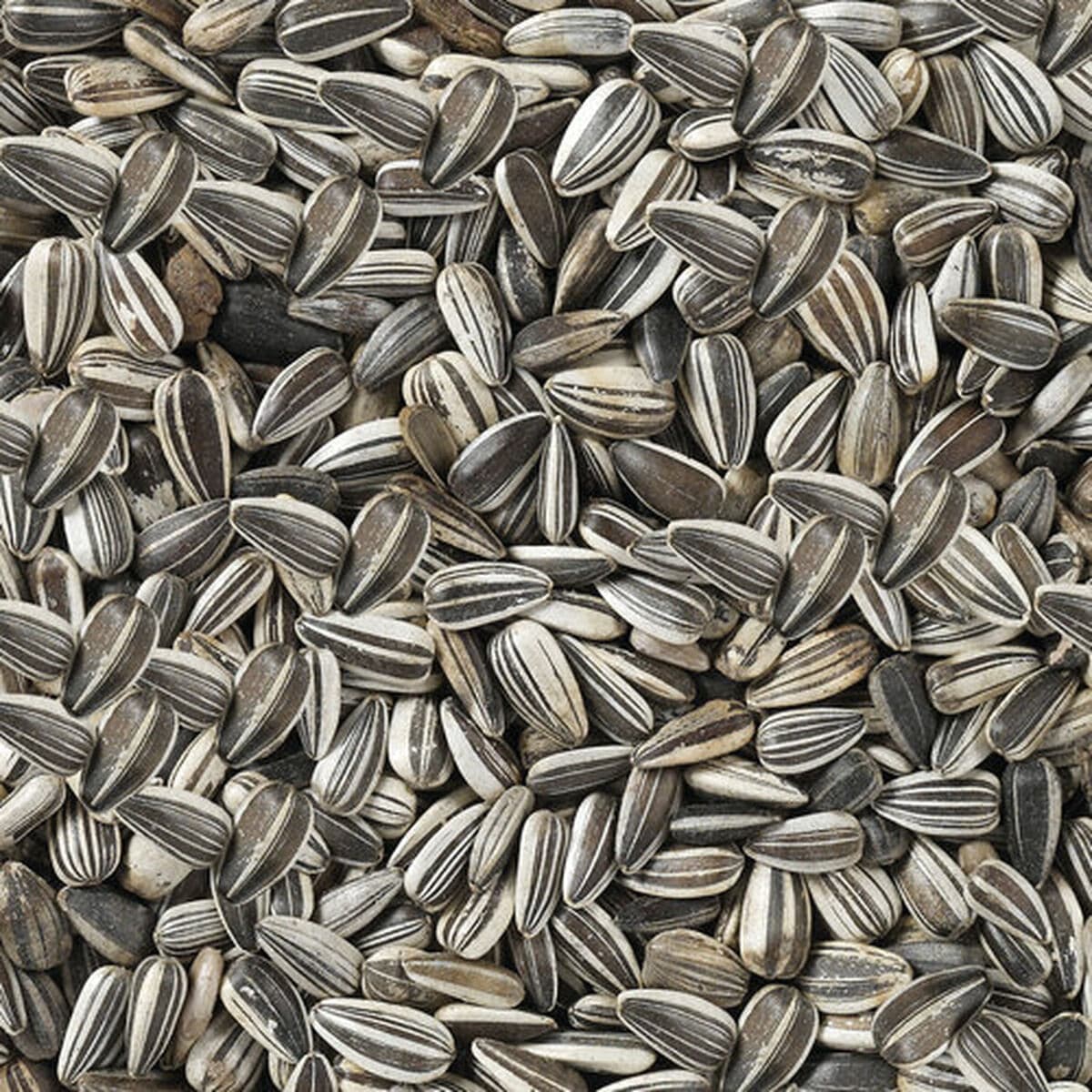 Vogelvoer Deli Nature Premium 2,5 kg - Image 4