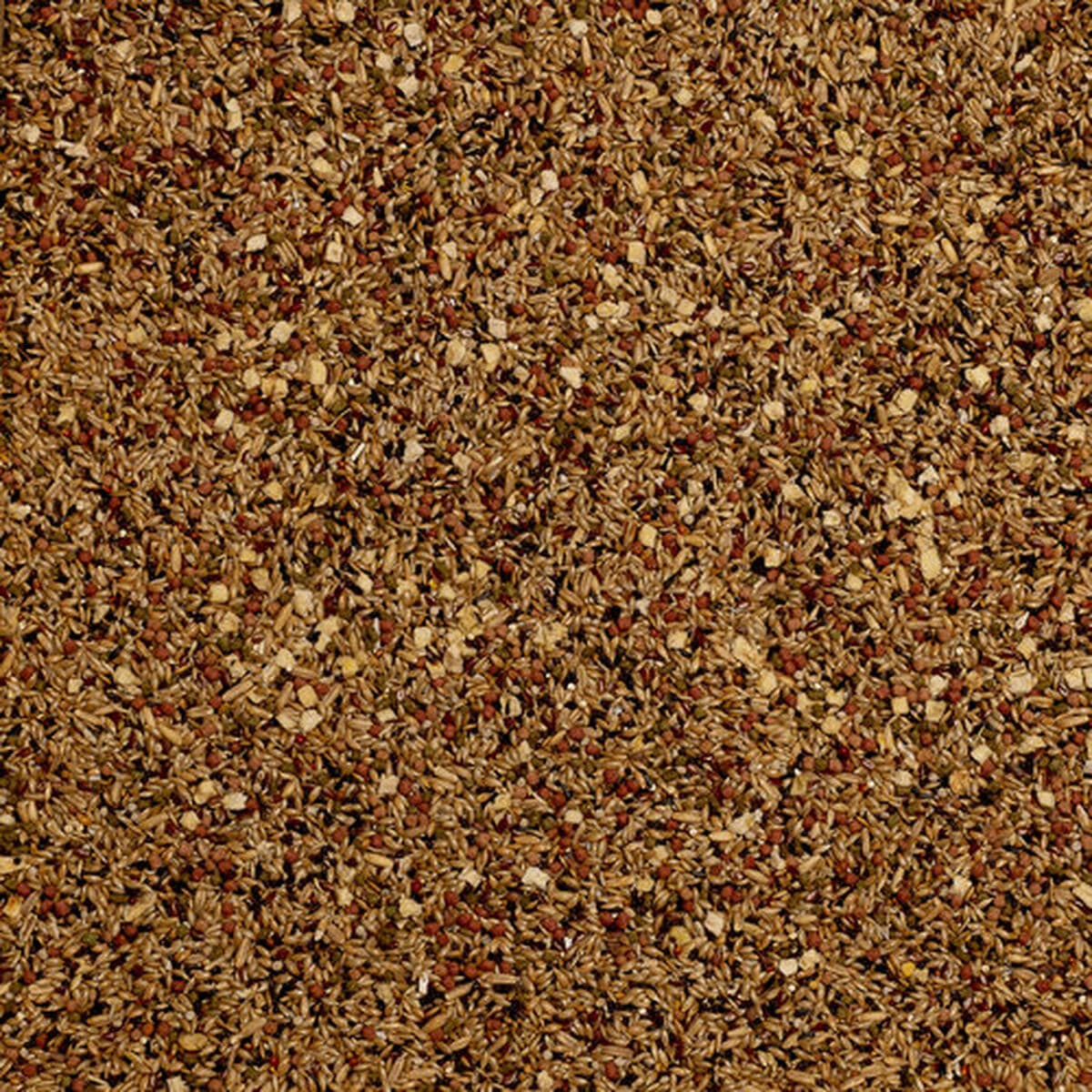 null - Image 4