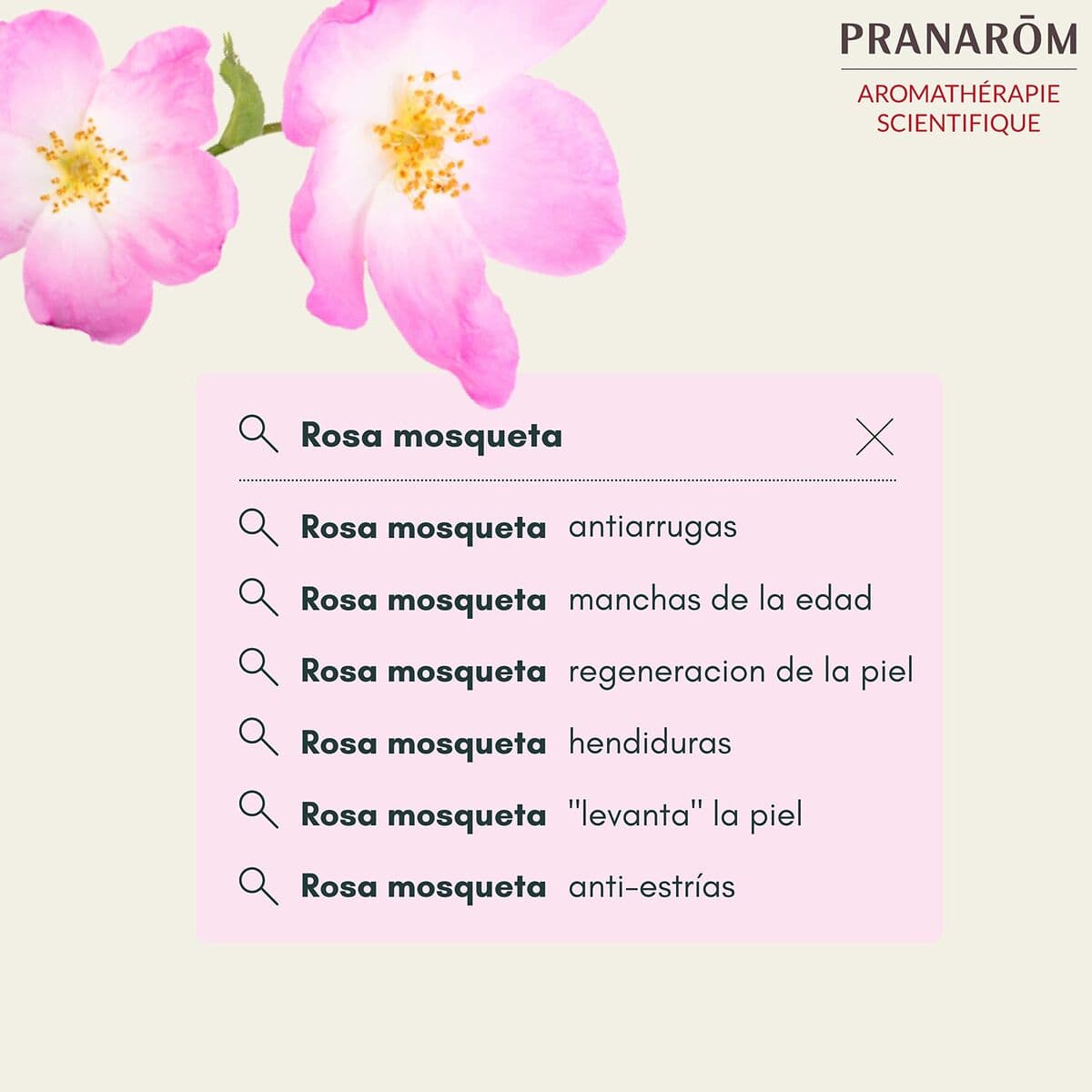 Kasvoöljy Pranarôm   50 ml Ruusunterälehti - Image 2