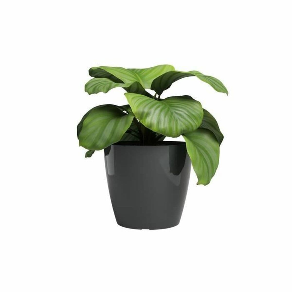 Macetero Artevasi SAN REMO Antracita Ø 36 cm (4 Piezas) - Image 2