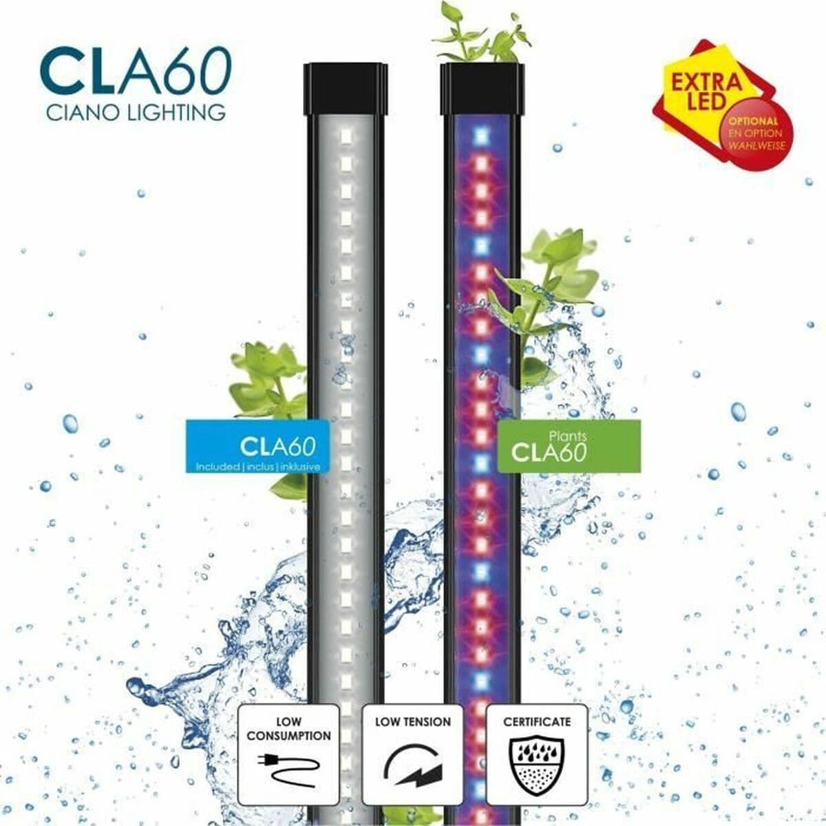 Verseau Ciano - Image 3