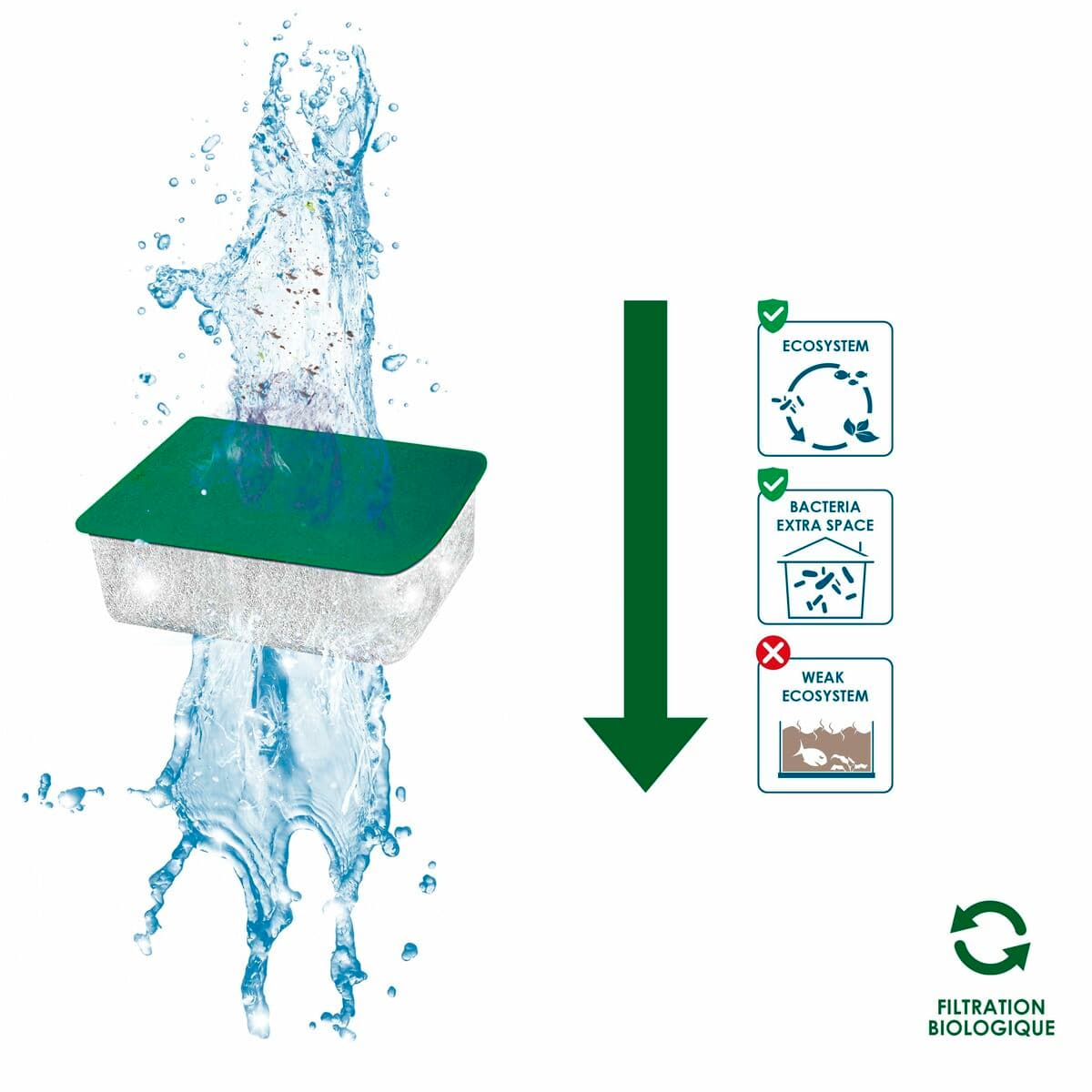 Replacement Ciano - Image 4