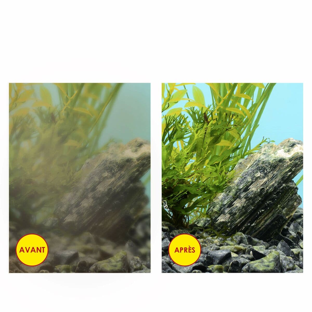 Replacement Ciano - Image 6
