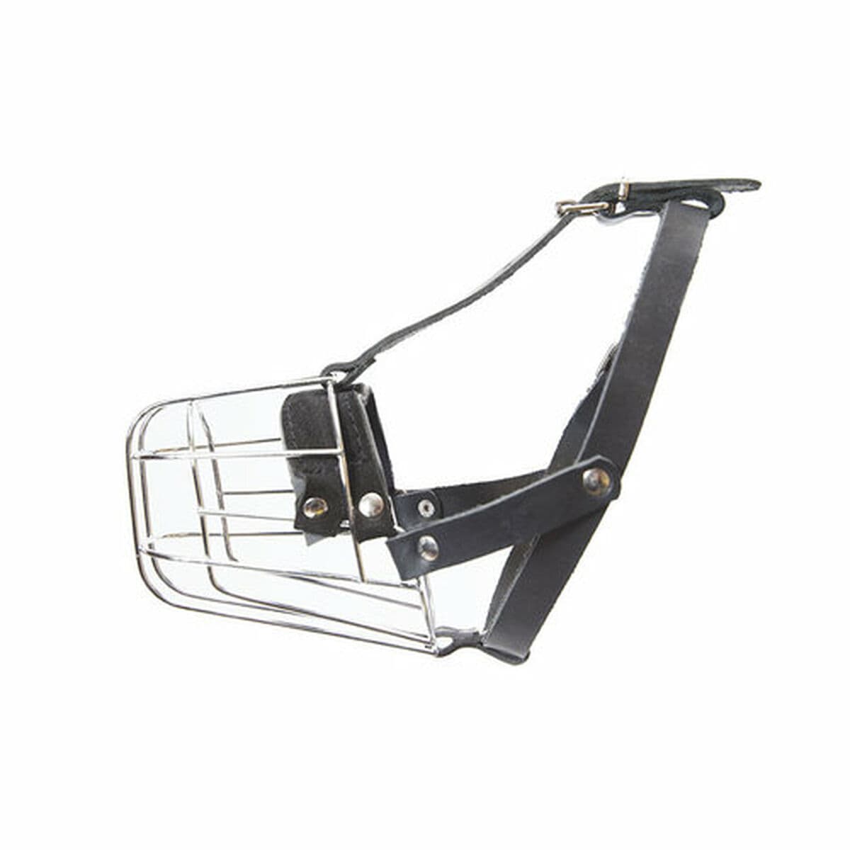 Kaganiec Julius K9 Yorkshire Terrier - Image 2