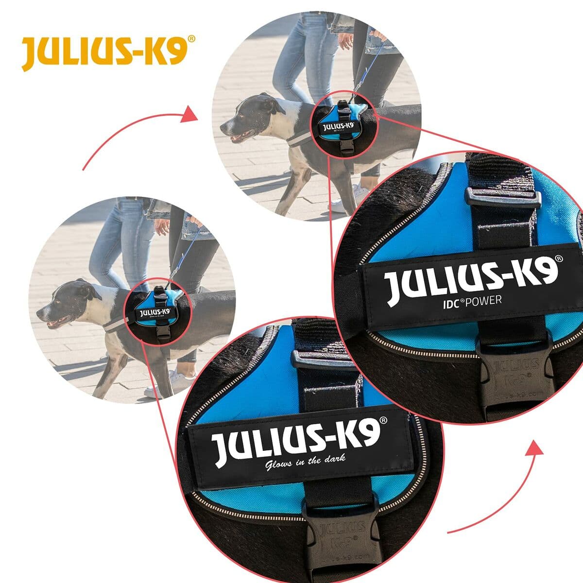 Hundesele Julius K9 Power Blå 2 Baby 2 (XS/S) - Image 7