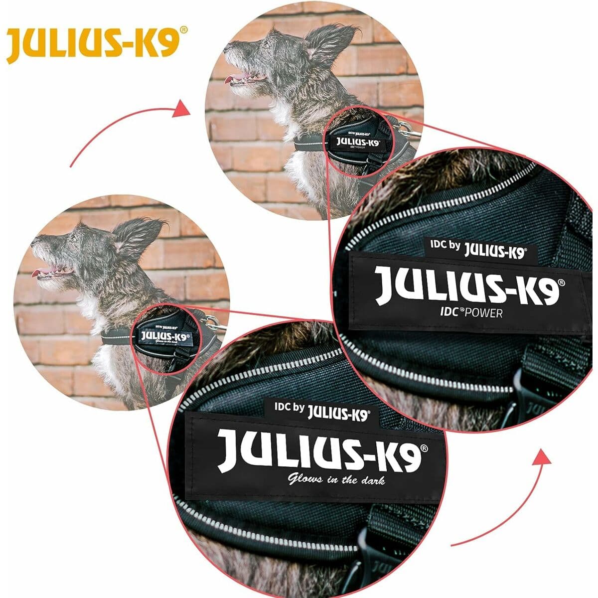 Hundegeschirr Julius K9 IDC Schwarz S - Image 9