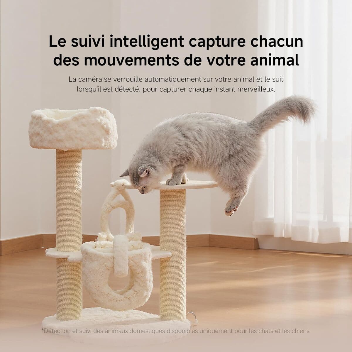 Videocámara de Vigilancia Xiaomi BHR08NBGL 6 Piezas - Image 8