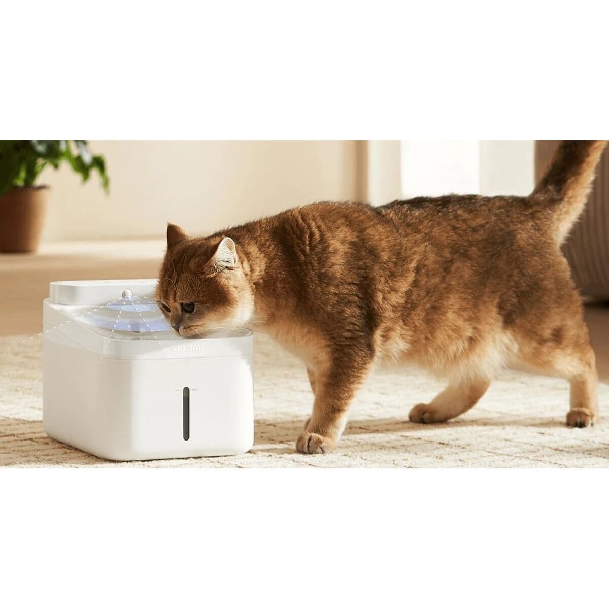 Fonte para Animais de Estimação Xiaomi BHR9486EU Branco Plástico 3 L - Image 7