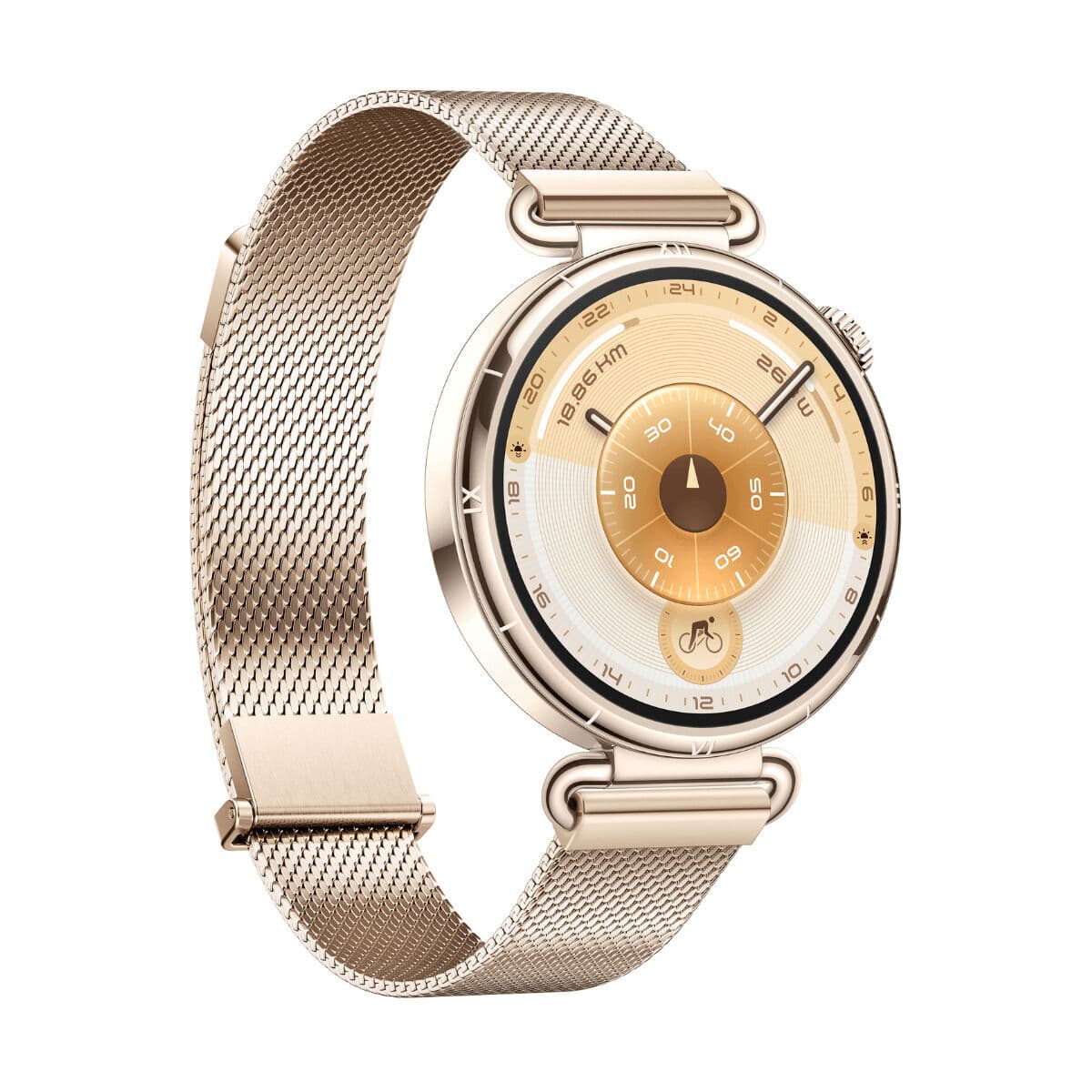 Smartwatch Huawei Watch GT 6 Konsu-B19M Gold 1,32" - Image 14