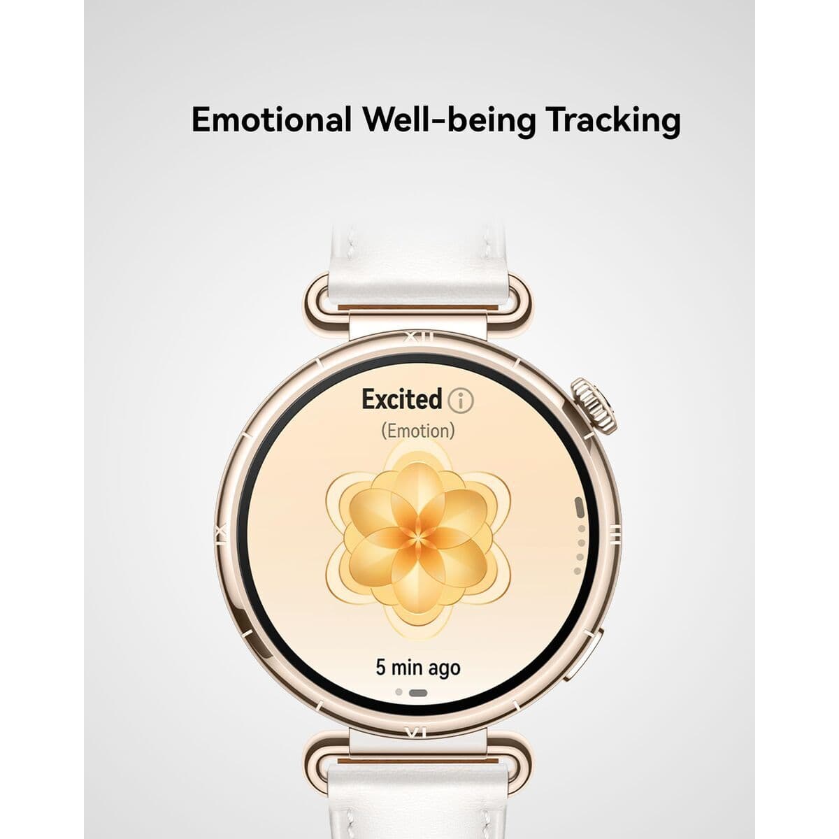 Smartwatch Huawei Watch GT 6 Konsu-B19M Gold 1,32" - Image 11