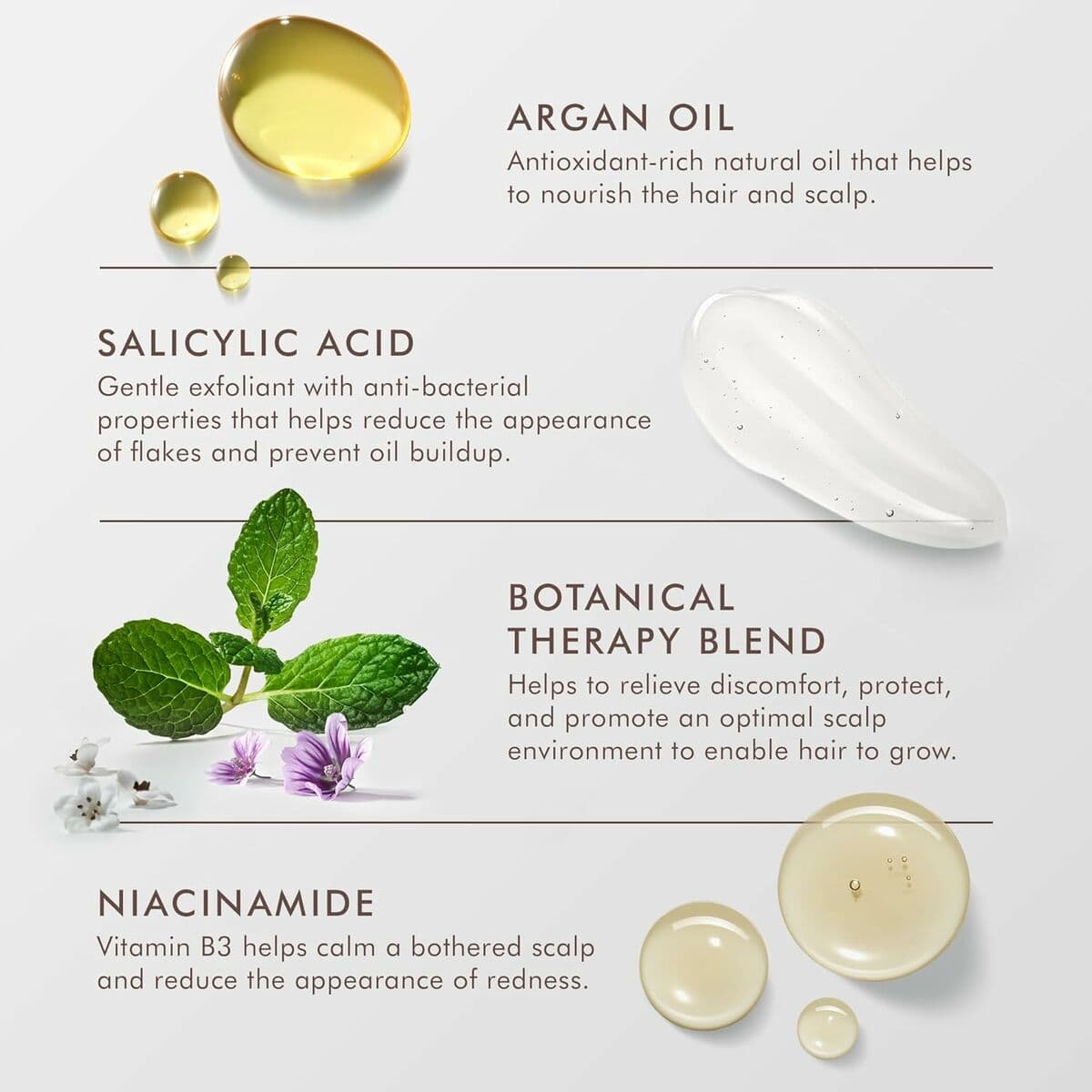 Balsamo Moroccanoil - Image 3