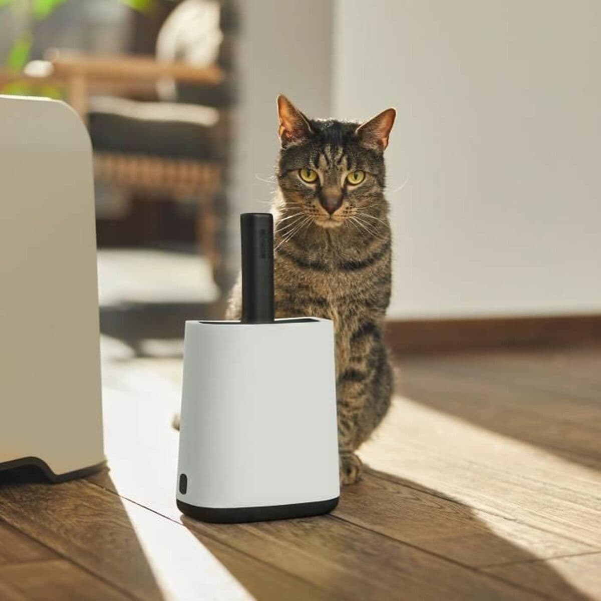 Dulkių semtuvas Rotho My Pet Balta Perdirbtas plastikas - Image 2