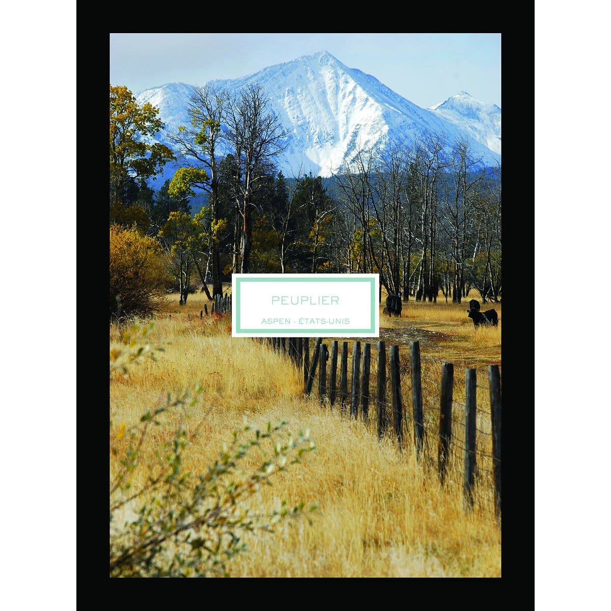 Mirisna Svijeća Lalique - Image 2