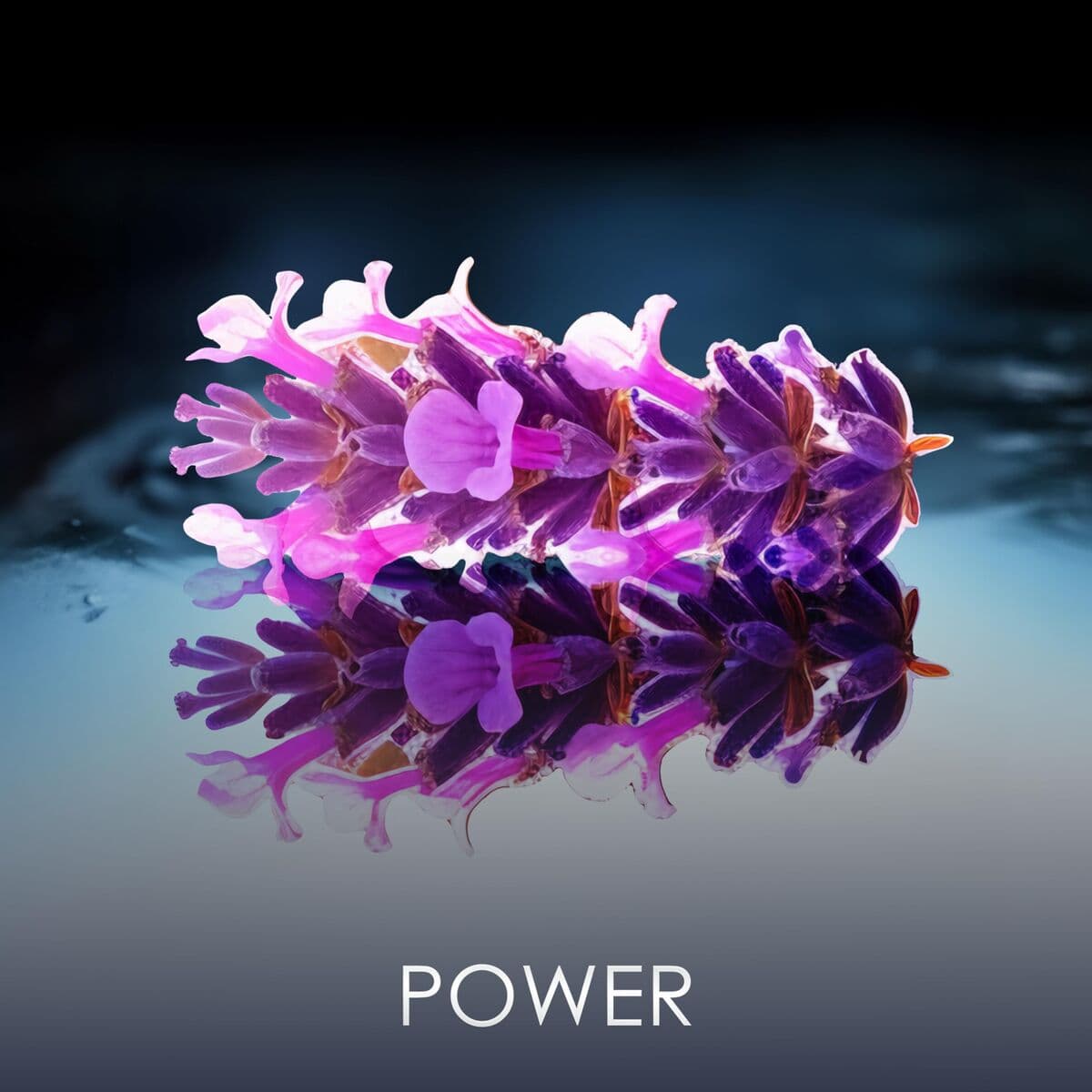 Unisex-Parfüm PHILIPP PLEIN NO LIMITS EDP 90 ml - Image 6