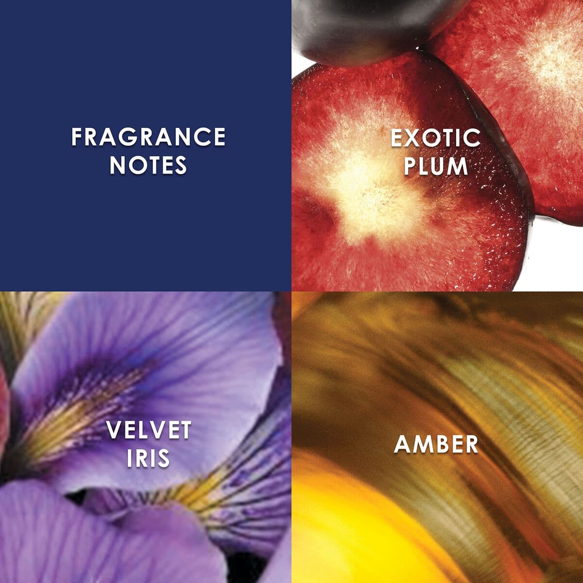 Unisex-Parfüm Britney Spears FANTASY 30 ml - Image 4