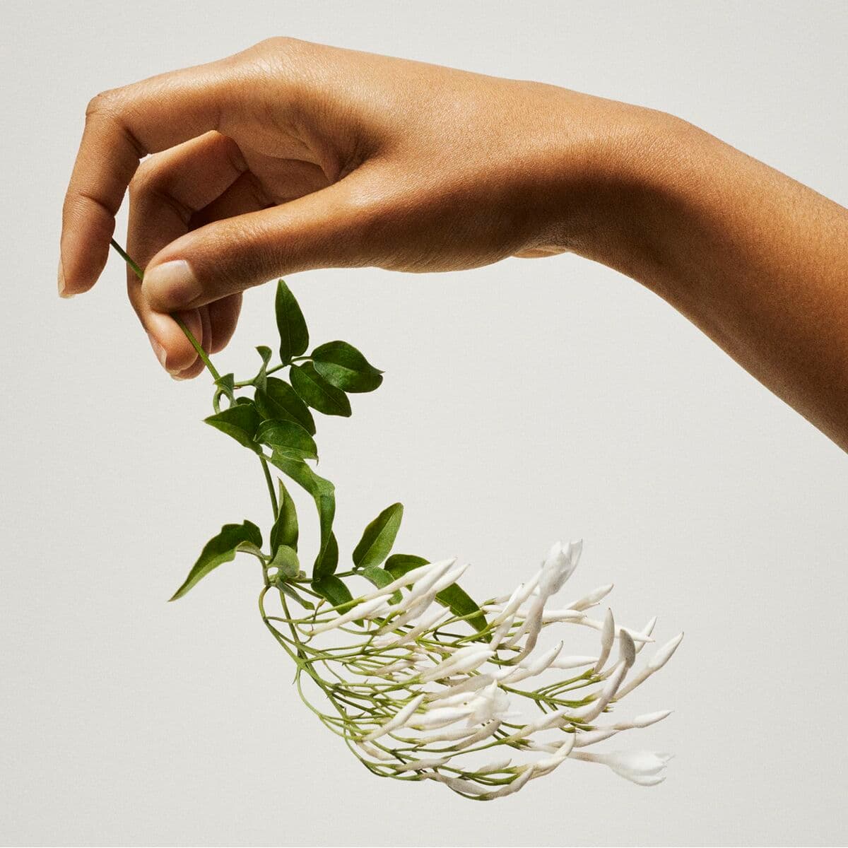 Damenparfüm Tommy Hilfiger TOMMY GIRL 30 ml - Image 5