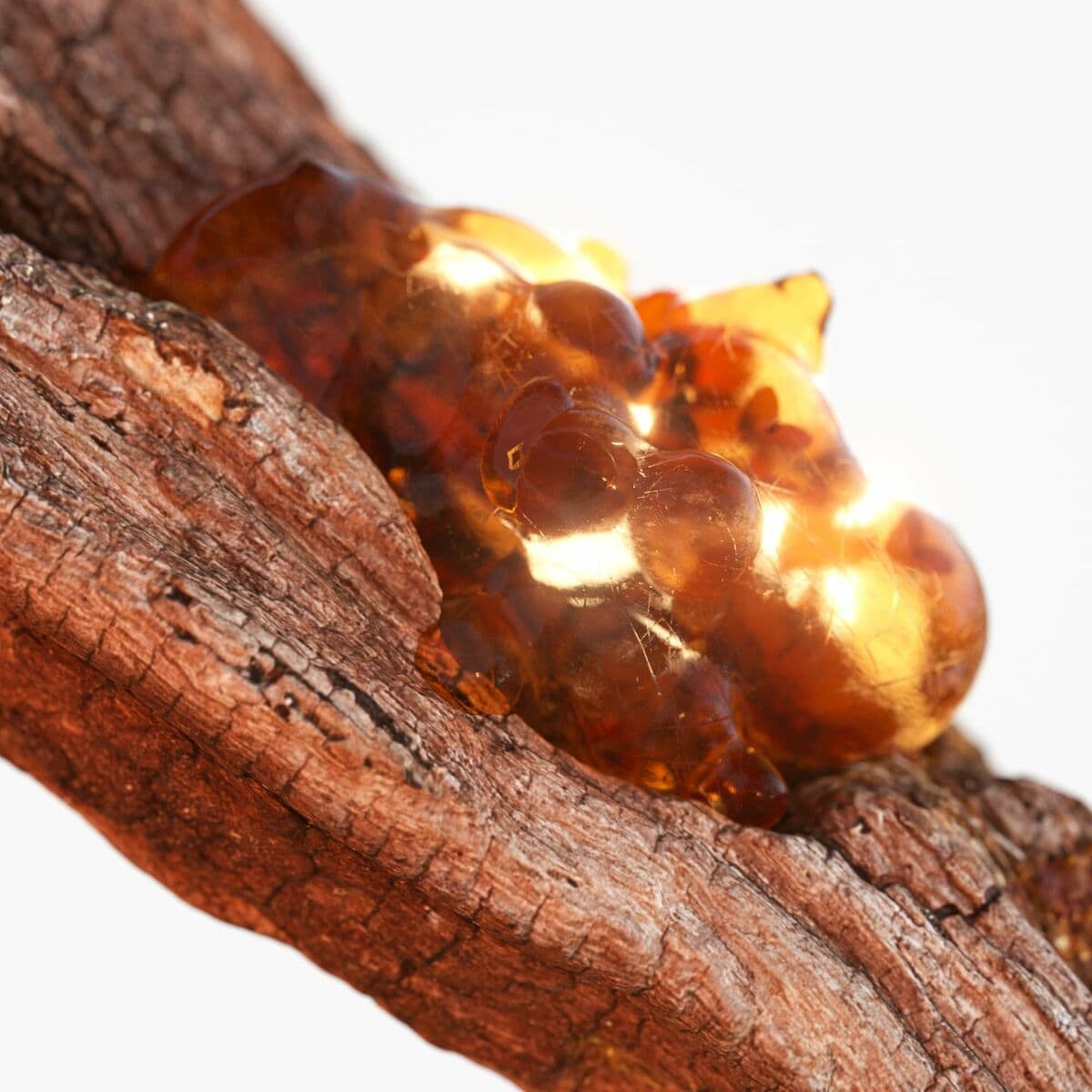 Herrenparfüm Tommy Hilfiger TOMMY NOW 100 ml - Image 2