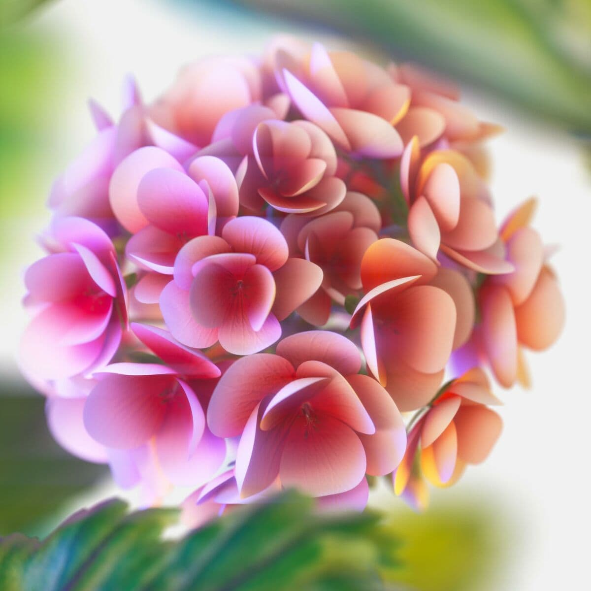 Herrenparfüm Tommy Hilfiger TOMMY NOW 100 ml - Image 4