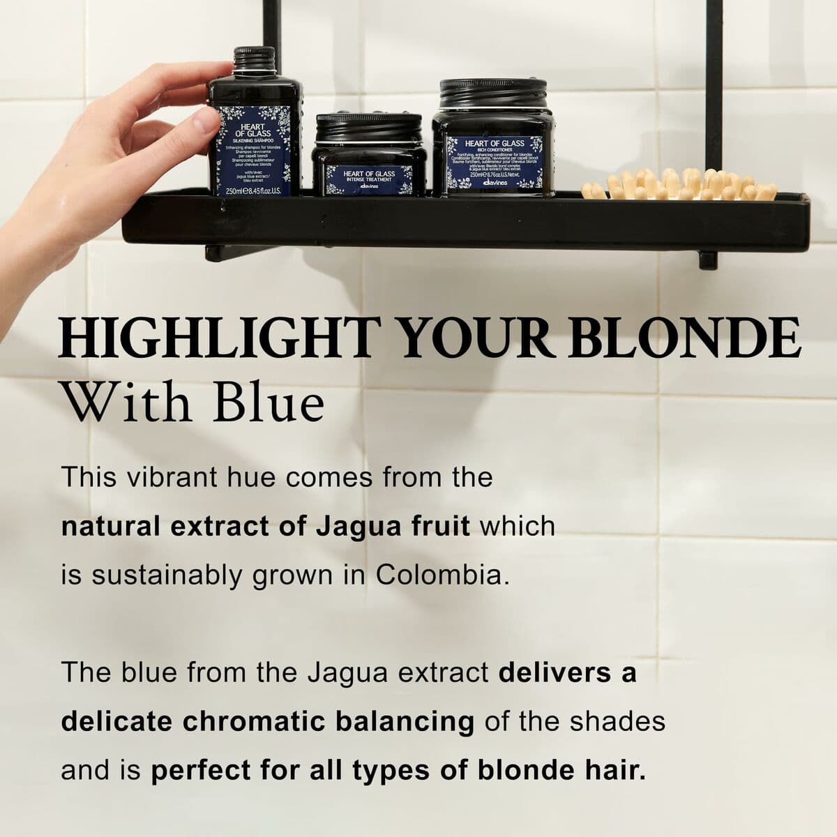 Balsam Davines - Image 7