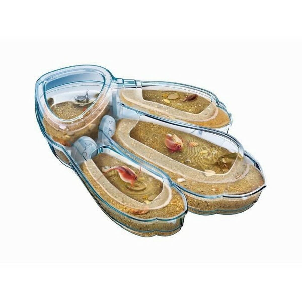 Juego de Ciencia Clementoni Triops Les animaux préhistoriques FR - Image 2