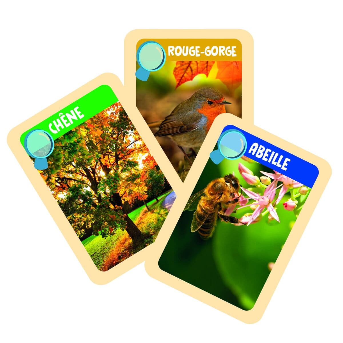 Juego de Ciencia Clementoni - Image 12