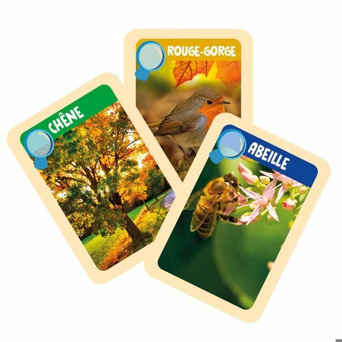 Juego de Ciencia Clementoni - Image 17