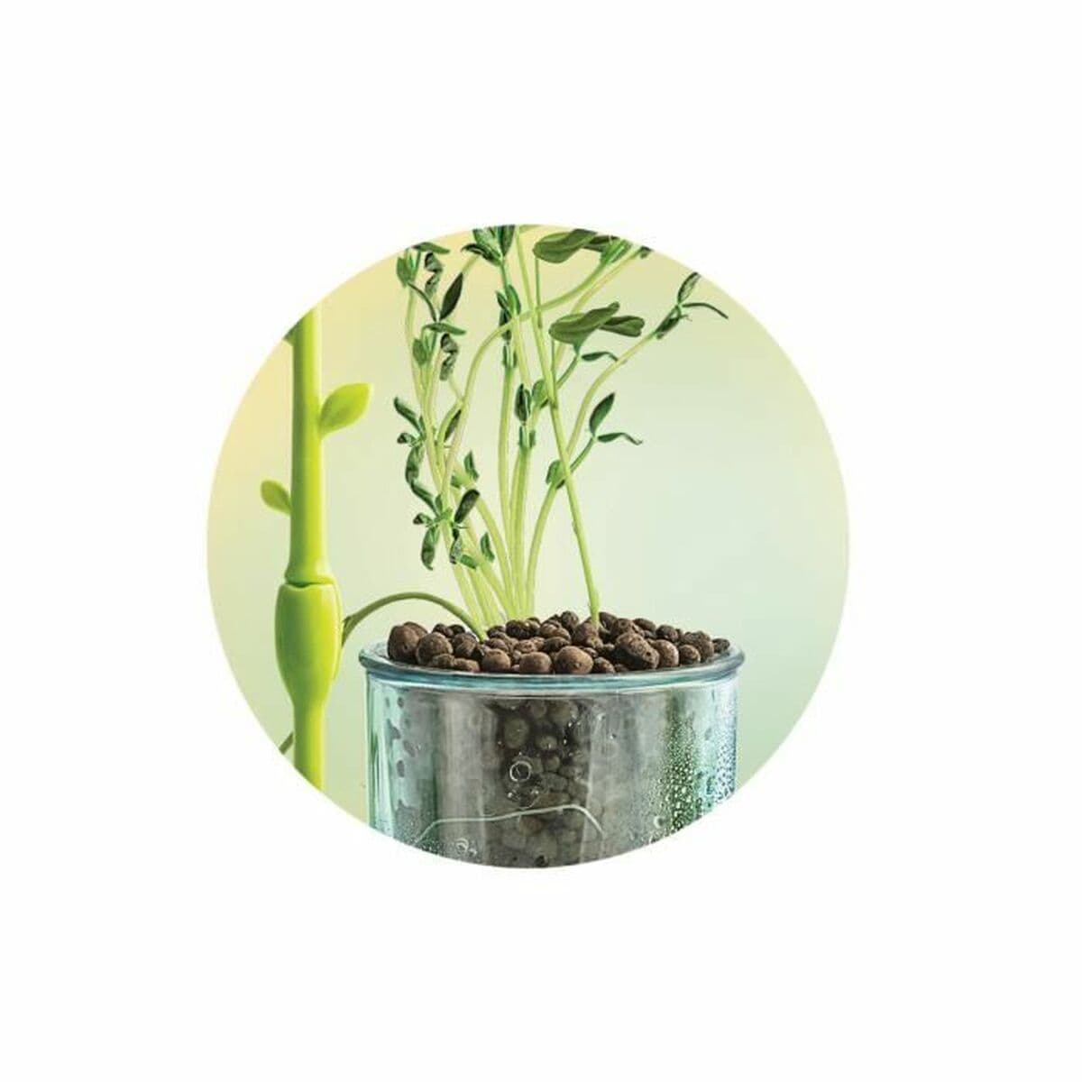 Juego de Ciencia Clementoni CLEMENTONI 16 x 6 x 22 cm - Image 4