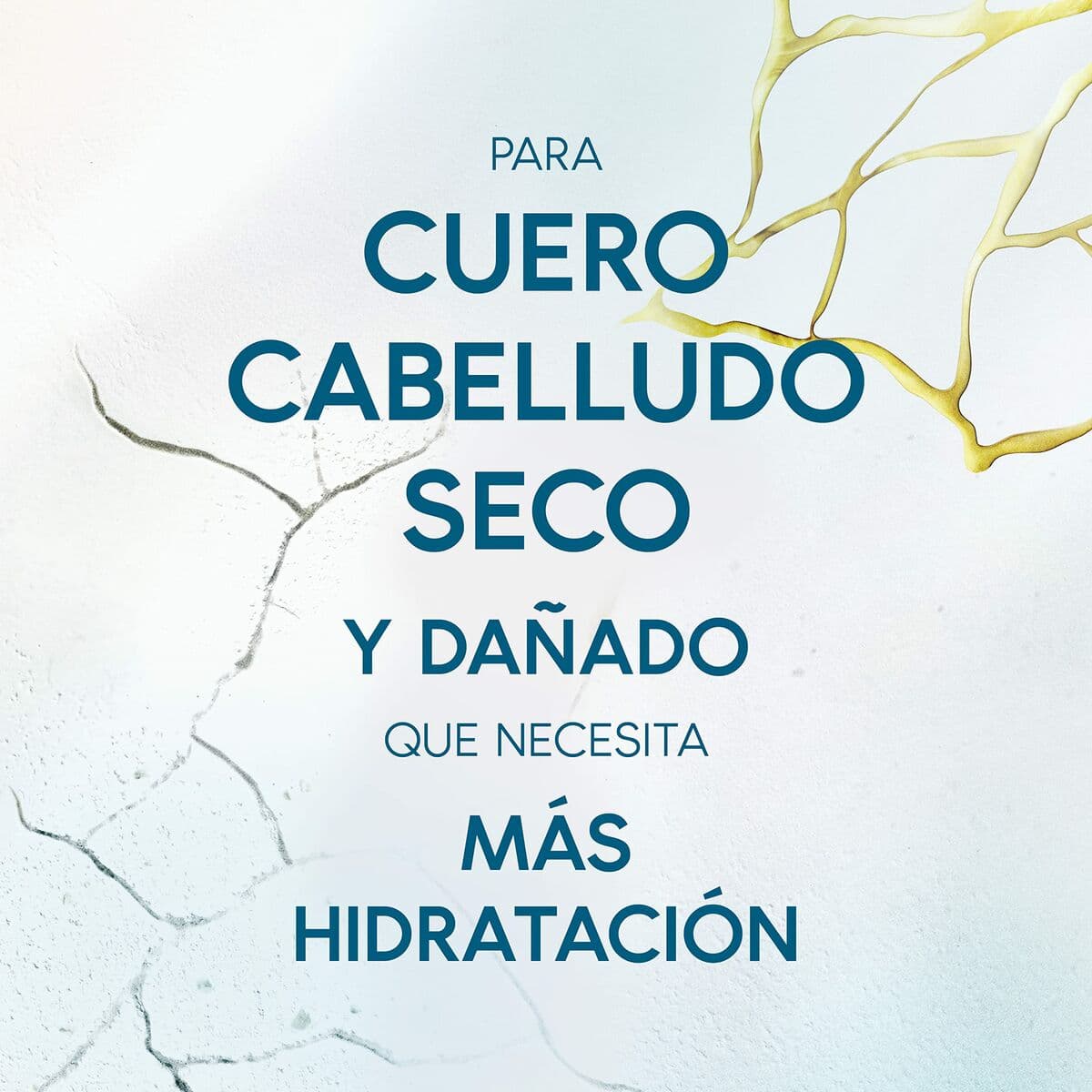 Lozione Calmante Head & Shoulders H&S Derma X Pro 145 ml - Image 4