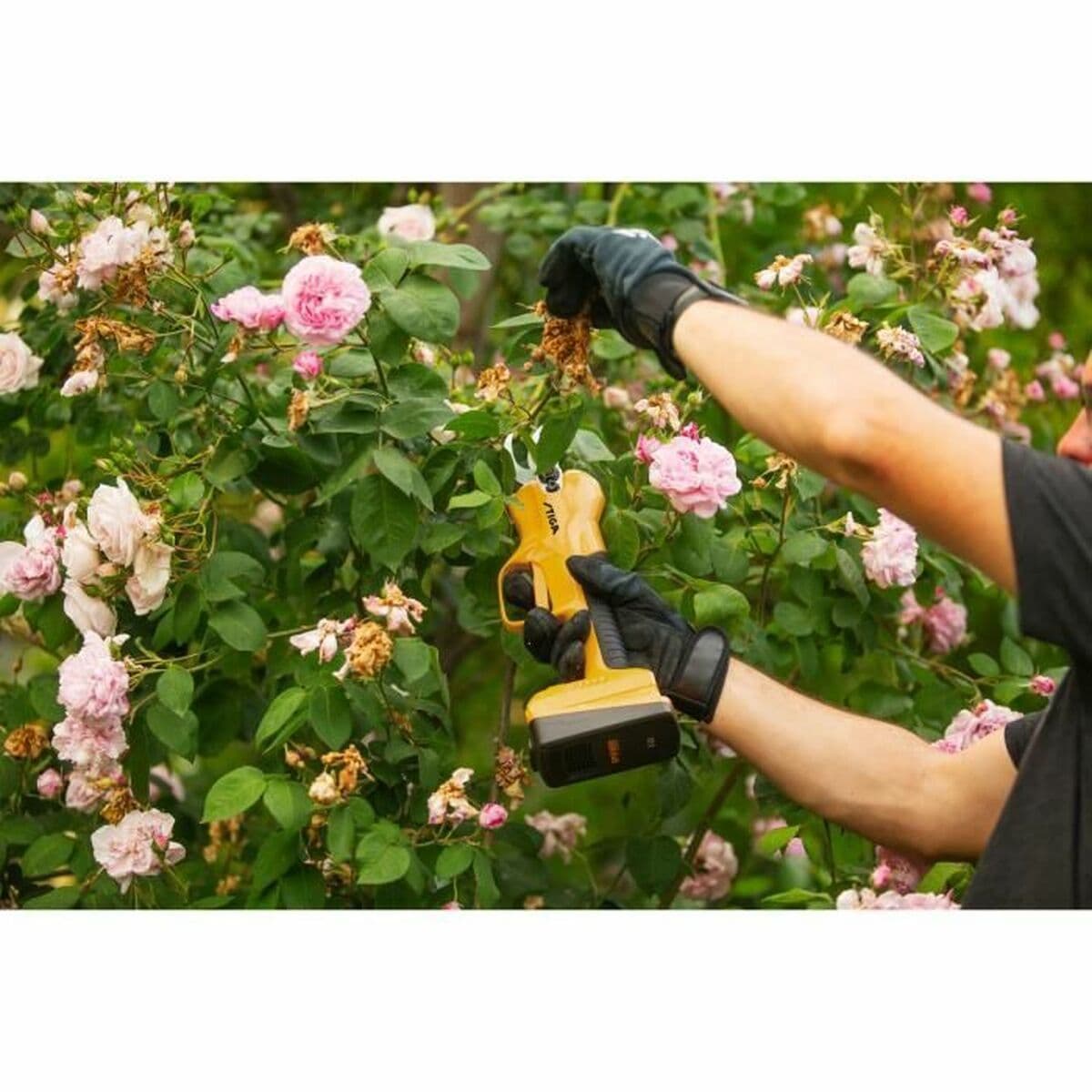 Tijeras de Poda Stephane Domergue 257022001/ST1 SC 100e Bypass - Image 4