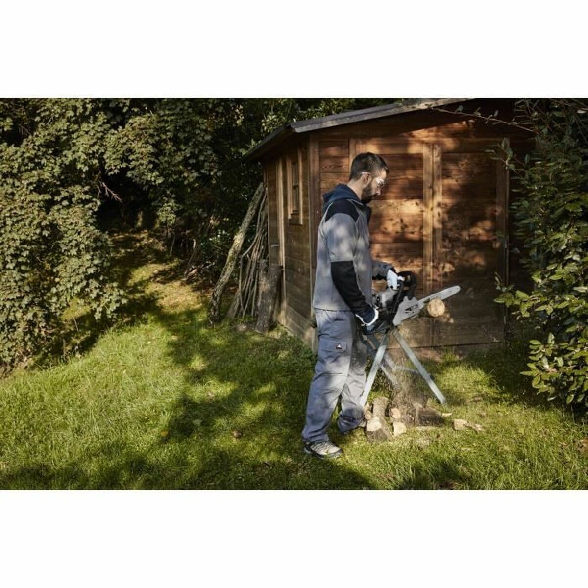 Motorsäge Alpina - Image 3