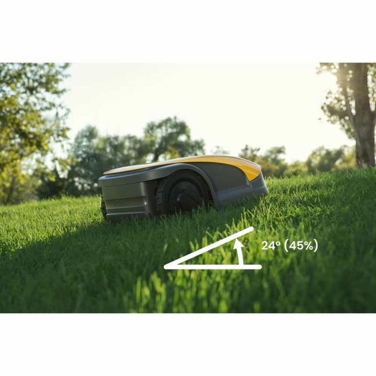 null - Image 4