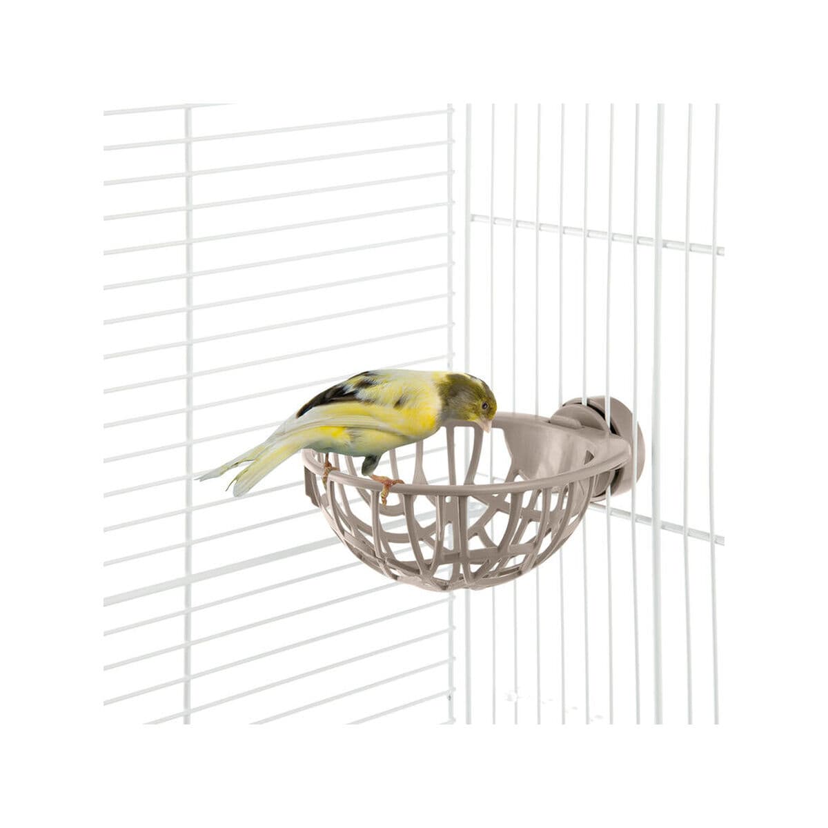 Nido IMAC - Image 25