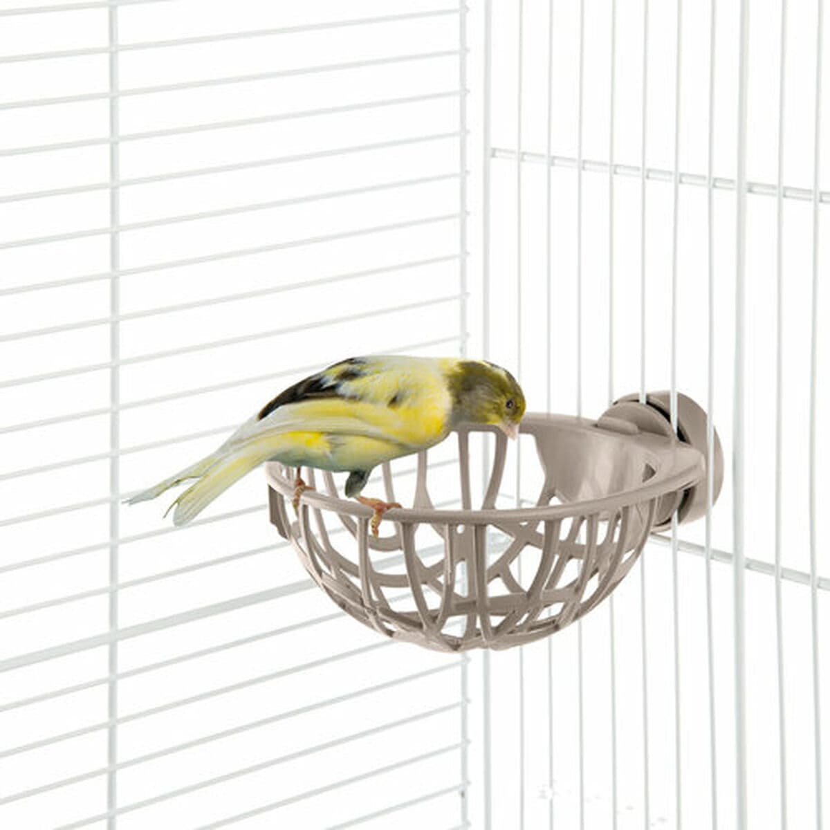 Nido IMAC - Image 26