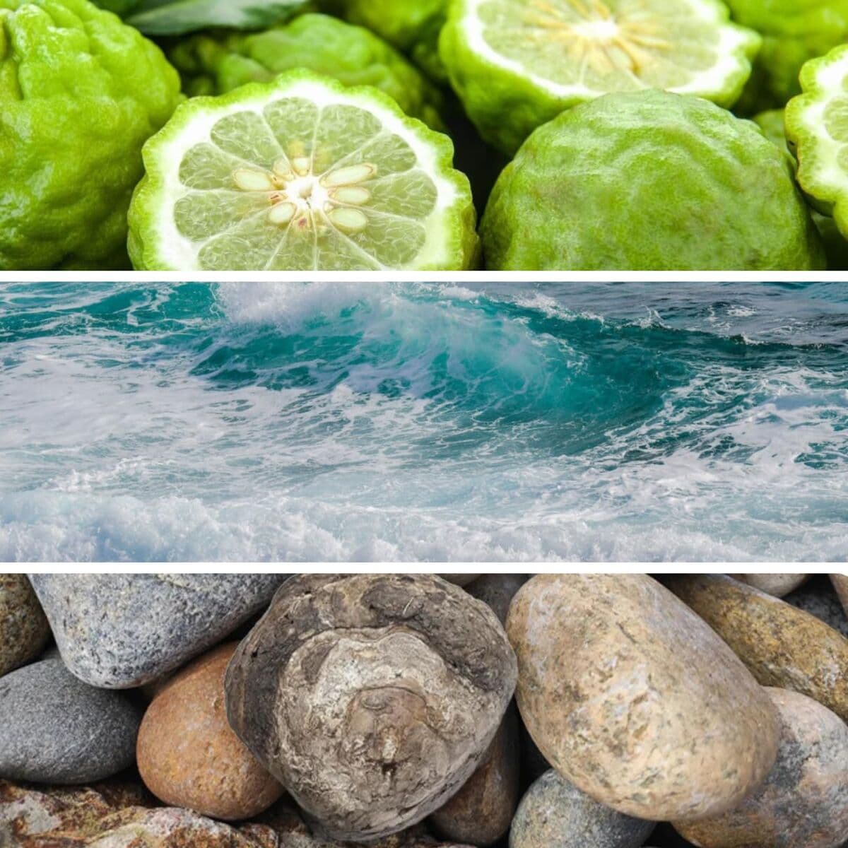 Perfume Unisex Giardini di Toscana BLU MARE EDP 100 ml - Image 3