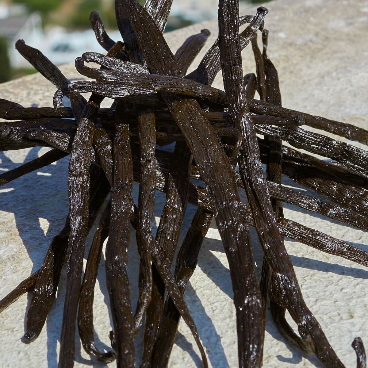 Parfym Damer D&G Devotion EDP 50 ml - Image 5