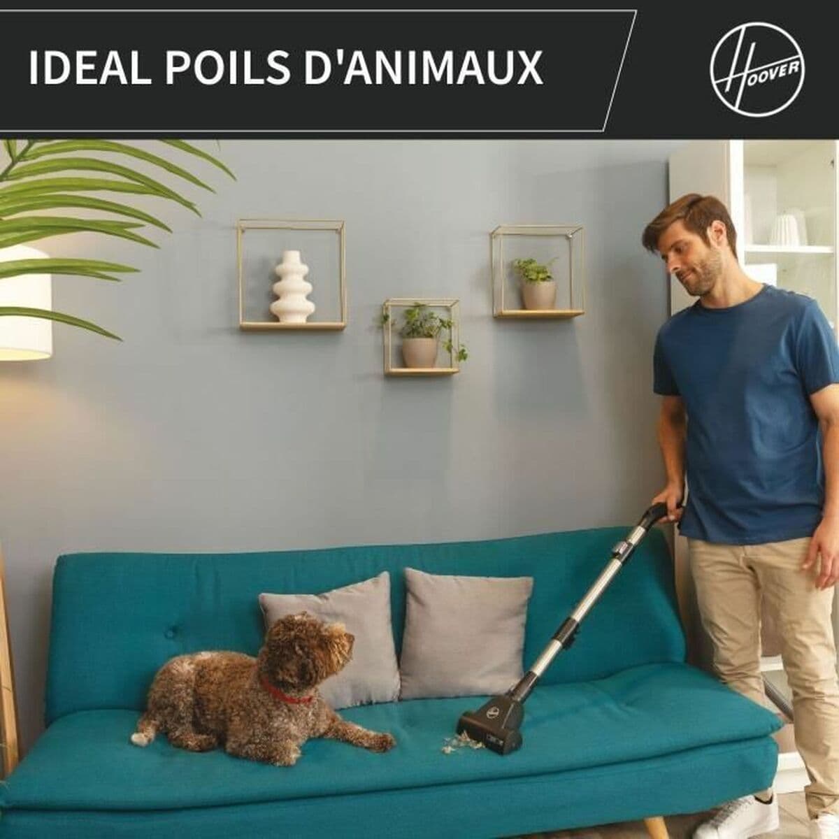 Ekstrahētājs Hoover HP321PAF Pelēks 850 W - Image 4