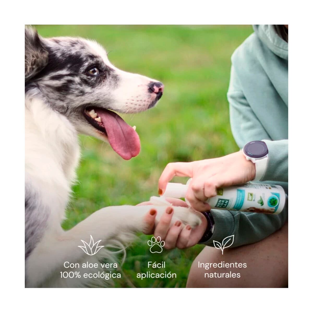 Rakblad Menforsan - Image 2