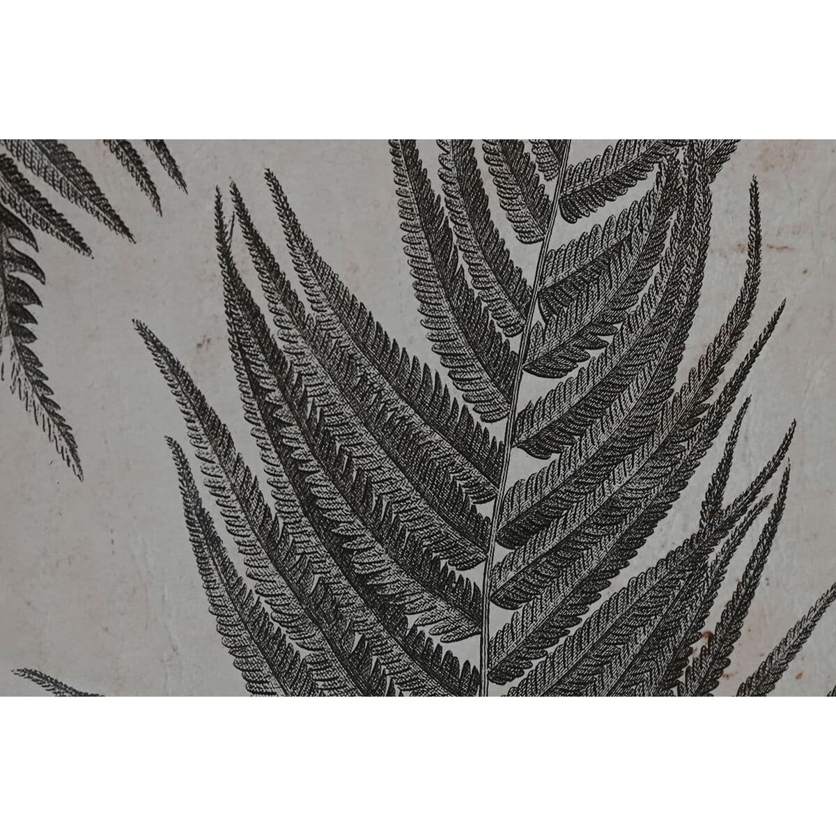 Tavla Home ESPRIT Glas Gran 50 x 3 x 70 cm 50 x 2,5 x 70 cm - Image 3