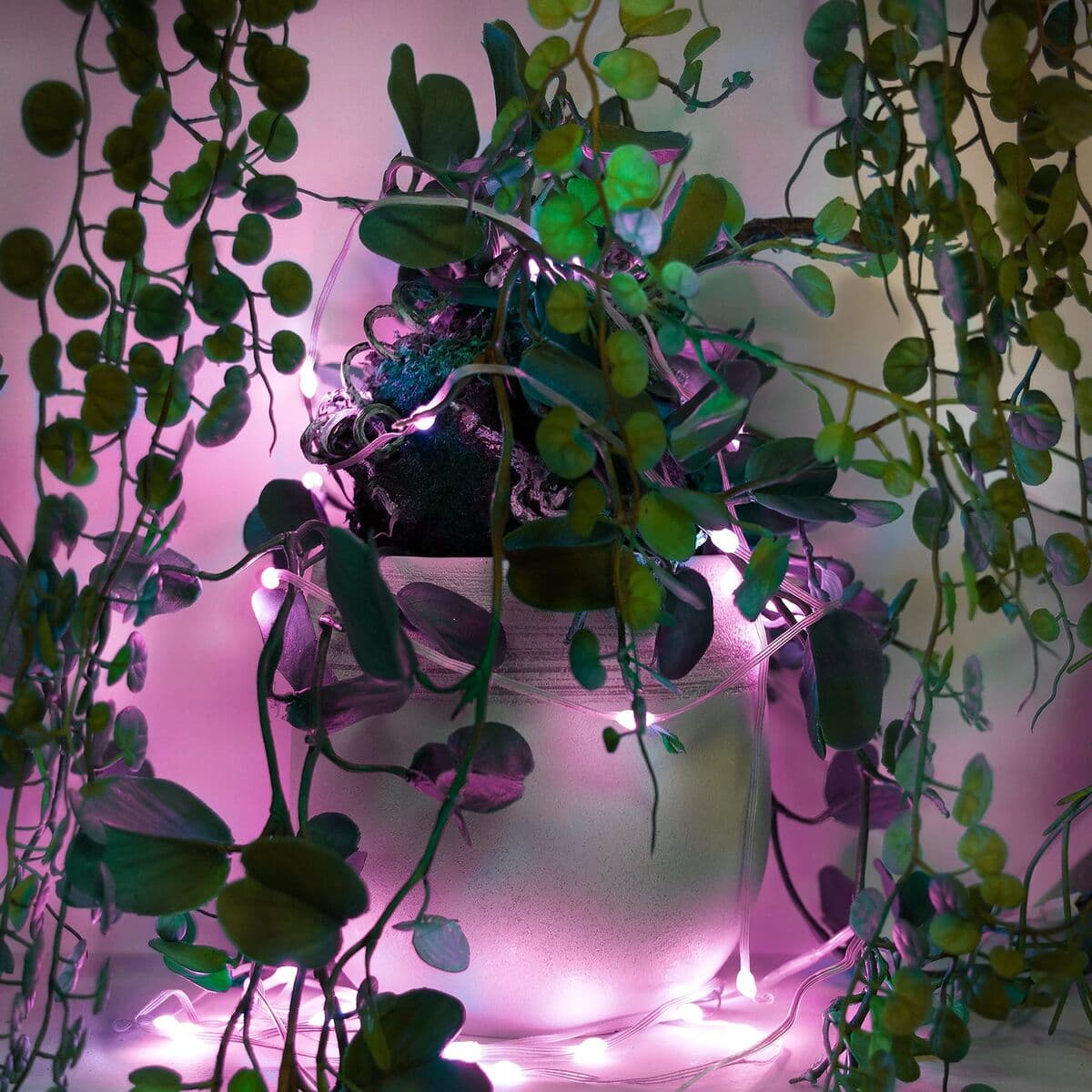 muvit iO Guirnalda WiFi Dreamcolor Mini LED RGB 5m - Image 11