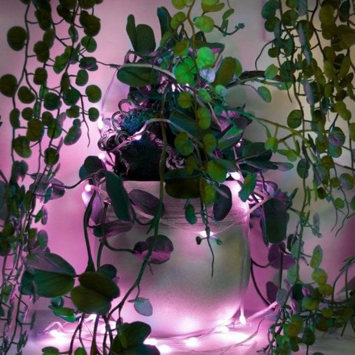 muvit iO Guirnalda WiFi Dreamcolor Mini LED RGB 5m - Image 8